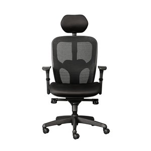 Ergonomic Chairs